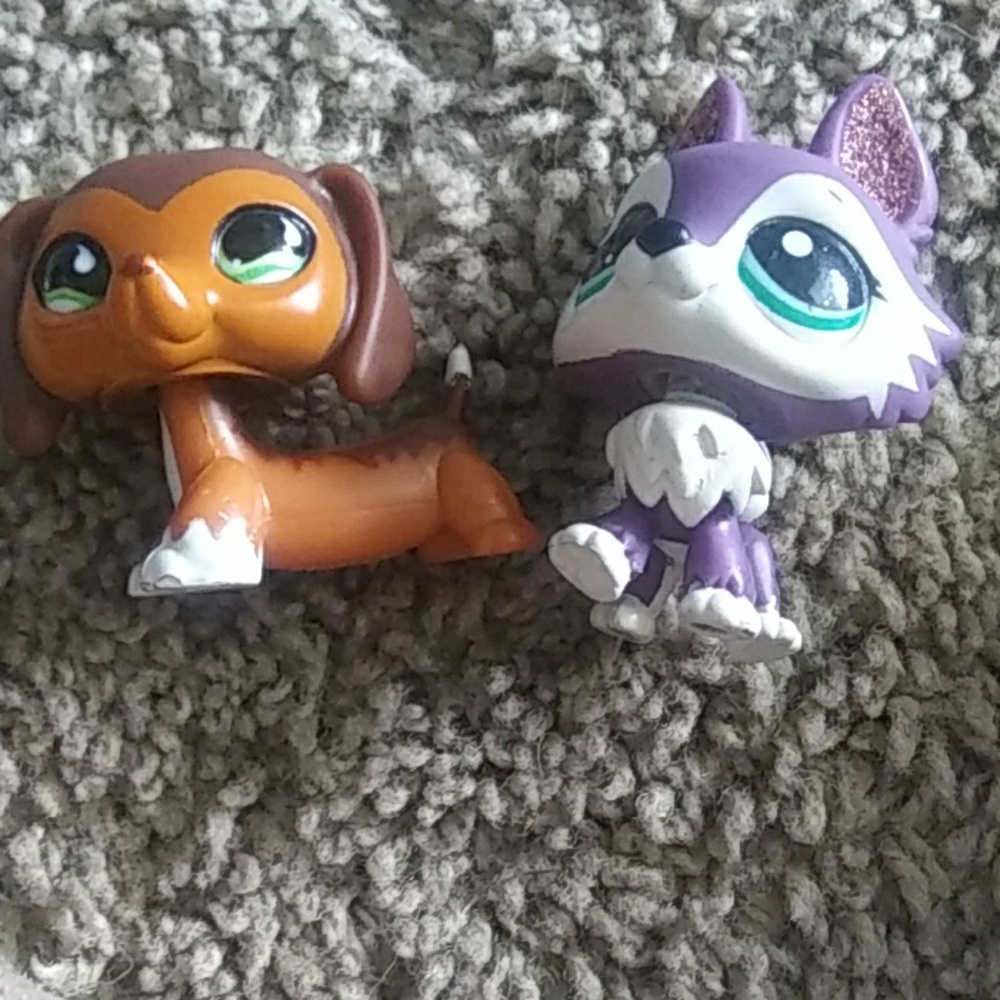 Littlest pet shops